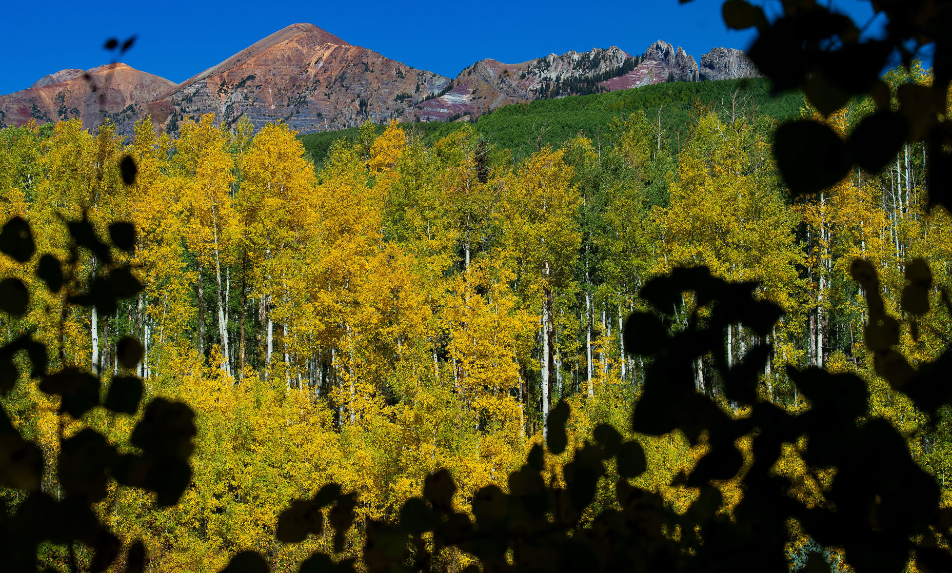 09_24_19 crested butte0853.jpg